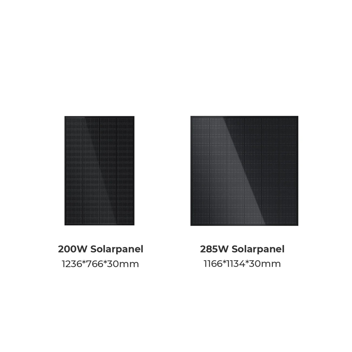 Sunshare Ray Solarmodul — Größenvergleich